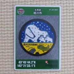 2026年最新】マンホールカード 001の人気アイテム - メルカリ