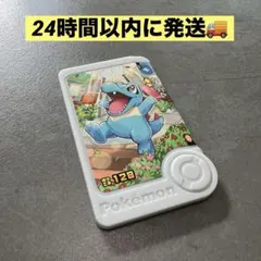 ✨️新品未使用✨️ ワニノコ パラレルアートピック ポケモンフレンダ