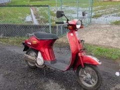 ホンダ | HONDA タクティ | TACTY 原付50㏄車体バイク旧車昭和 - メルカリ
