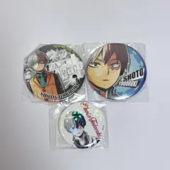 僕のヒーローアカデミア コレクション缶バッジ 轟焦凍