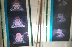 ガンダムSEED freedom 特典 生コマフィルム ラクス 激レアシーン