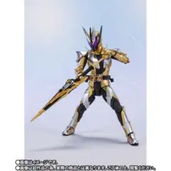 S.H.Figuarts 仮面ライダーサウザンドアーク 改造部品 - メルカリ