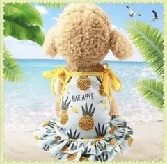 わんちゃんかわいいパインワンピース