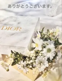 Dior 巾着ポーチ　グレー　3枚セット