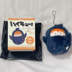 くるみたぴぬい ハイキュー 日向翔陽