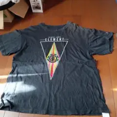 ELEMENT グレー Tシャツ 1992年デザイン女性
