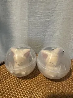 スキズ SKZOO ライトマスコット　フォクシニー