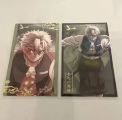 鬼滅の刃 無限城編 描き下ろし イラストランダム フォトカード 不死川実弥