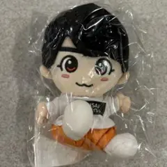 なにわ男子　大西流星　ちびぬい　第1弾