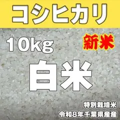 キヨニシキ　玄米１０ｋｇ　令和７年産　天日干し　化学肥料農薬不使用 キヨニシキ 玄米10kg 令和7年産 天日干し 化学肥料農薬不使用