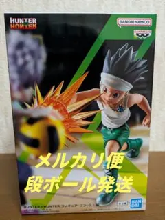 HUNTER×HUNTER フィギュア-ゴン-G.I.編