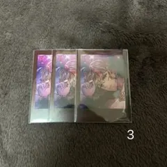 あくねこ テディ ぱしゃこれ 3枚セット
