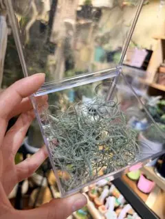 ミッキー様 リクエスト 2点 まとめ商品