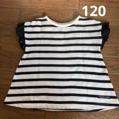 Item thumbnail for item 4578ef09-5be6-4d80-8b11-c65134cebb45