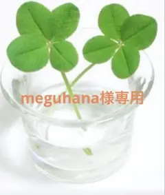 meguhana様専用のサムネイル