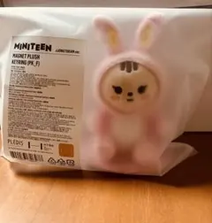MINITEEN トラムちゃん　マグネットキーリング