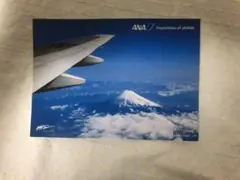 ポストカード レター