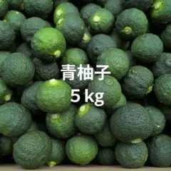 無農薬青柚子５kg。柚子胡椒、薬味、うどん、そうめん、冷奴、刺身、焼き鳥、鍋料理のサムネイル