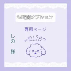 しの様専用ページ