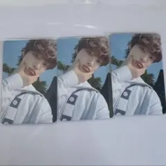 &TEAM 青嵐 ウィバショ 特典 トレカ EJ ウィジュ　セット