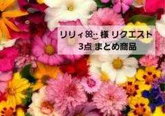 リリィ︎ꕤ︎︎·͜· ︎︎様 リクエスト 3点 まとめ商品