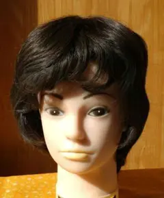 いこさんいるか様 リクエスト 2点 まとめ商品