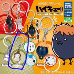 つながリングチャーム　ハイキュー!!マスコット　アカアシフクロウ