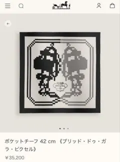 ポケットチーフ 42 cm 《ブリッド・ドゥ・ガラ・ピクセル》