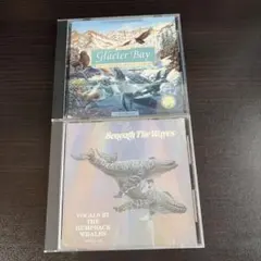 自然環境音 CD 2枚セット Glacier Bay 他