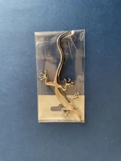 アウディ クアトロ　ゲッコーエンブレム