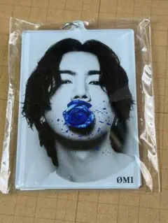 登坂広臣　アクリルキーホルダー　STARS 薔薇