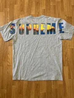 Item thumbnail for item 34cbf0a7-bb54-4789-bd7a-75b0c9800b7d