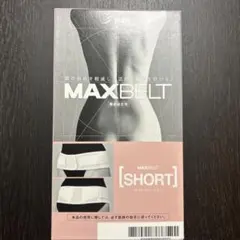 日本シクマックス 腰痛ベルト　腹部固定帯　マックスベルト　ショート　Lサイズ