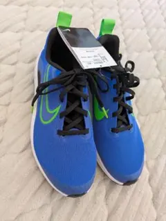 Item thumbnail for item 3aaeecb3-76f3-40fb-bd24-ecd8767dd2d2