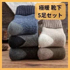 靴下 厚手 極暖 ウール 5足 パイル あったか メンズ ソックス 極厚 共用