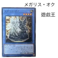2025年最新】メガリス・オクの人気アイテム - メルカリ