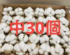 KSS様 リクエスト 2点 まとめ商品