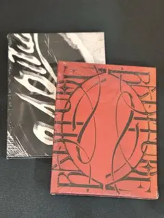 スジン SOOJIN BADTITUDE 赤&黒2枚セット