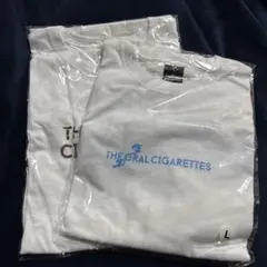 Item thumbnail for item dcd20170-bf3b-4eb0-89d1-b1765dcf21e4