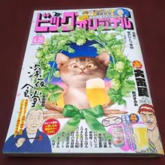 ビッグコミックオリジナル 2026年6月20日号