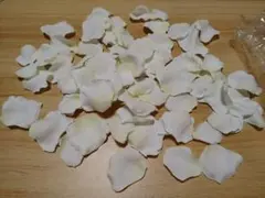 Green Life 造花 花びら ホワイト FLE-7013
