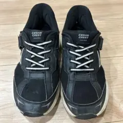 スパットシューズ21cm