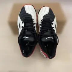 MIZUNO ハンドボール アウトシューズ
