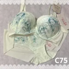 【SALE】トリンプ　恋するブラ＆ショーツ　C75　新品　匿名配送　サマータイプ