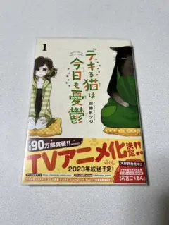 Item thumbnail for item 89fade3f-d496-4a2b-973e-3f55c152c796