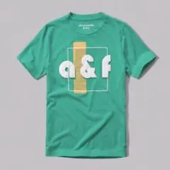 【新品】アバクロ アップリケTシャツ15/16(キッズXL) 緑