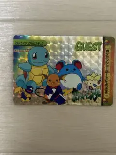 ポケモン カードダス ピカチュウたんけんたい ピカチュウ＆マリル