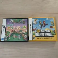 Nintendo DS ソフト 2本セット