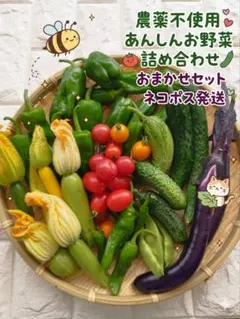 ネコポス農薬不使用お野菜詰め合わせのサムネイル