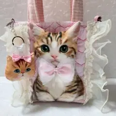 コヤンイサムチョン きぬぐるみ猫ちゃんトートバッグ - メルカリ